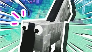 WHAT'S WRONG WITH THIS MINECRAFT HORSE?!?! [#2]