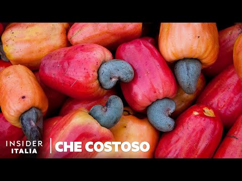 Video: Perché i pistacchi sono così costosi?