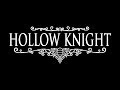 Hollow Knight Critique