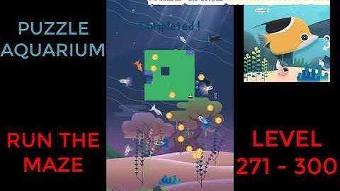 Puzzle Aquarium | Run The Maze Level 271 - 300 | Walkthrough
