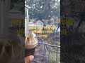 북한강 흐르는 카페에서 나만의 시간을 만들어 갑니다 ㅎㅎ 인생은 미완성 #북한강 #카페 #아보하