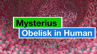 Mysterious Obelisks In Human Gut