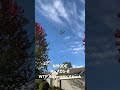 N110DE No ADS-B WTF Afternoon Attack Paul S Draper Livonia MI #AerialStalker #aviation #flying
