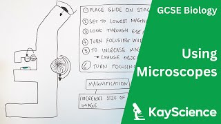 GCSE Biology - Microscopes Required Practical