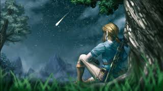 Relaxing The Legend of Zelda Breath of The Wild Music by Délice Musical 220,379 views 5 years ago 48 minutes