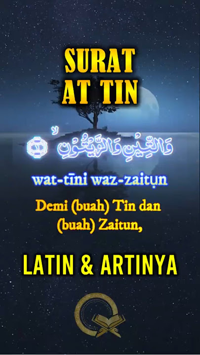 Surat AT TIN Alquran Merdu Arab, Latin dan Artinya Wattini Wazzaitun Ayat 1-8 #shorts #islam #quran