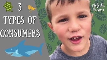 3 Types of Consumers