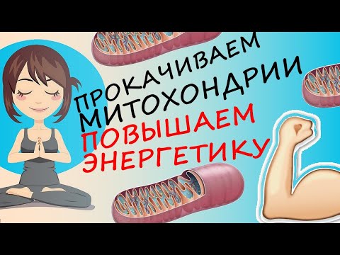 Как Зарядить Митохондрии и Повысить Энергию Организма