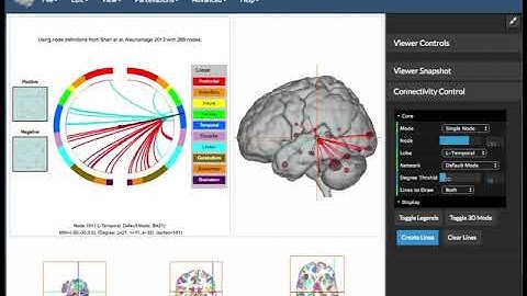 Connectivity Viewer Movie