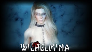 Skyrim: Snowfall Playerhome and Follower