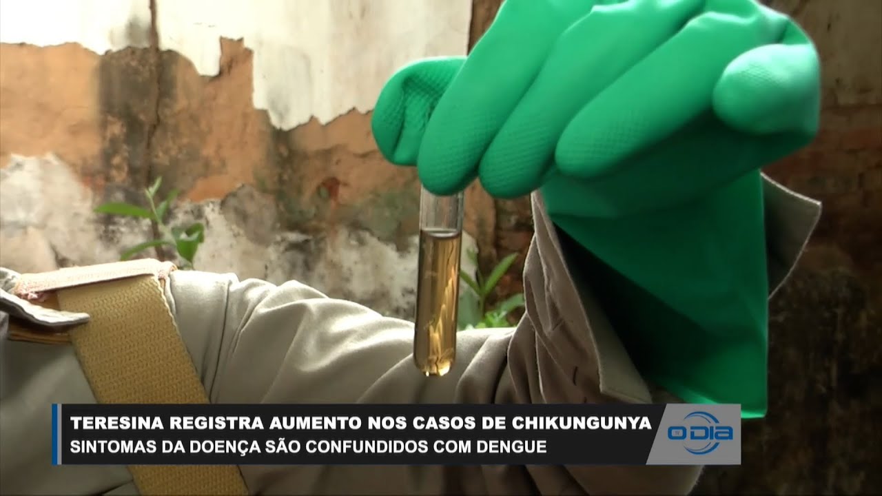 Casos de Chikungunya aumentam em Teresina 20 07 2023