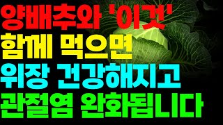 양배추의 놀라운 효능 &#39;이것&#39;과 함께 드세요! 양배추 섭취 시 주의사항, 건강 음식 양배추 효능
