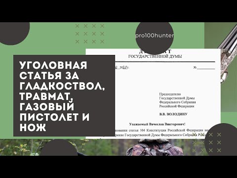 Изменения в 222 УК РФ незаконный оборот оружия