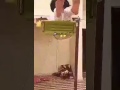 اهم شي تتمرجح هههههههه