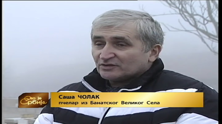 Ovo je Srbija 17. 02. 2017.