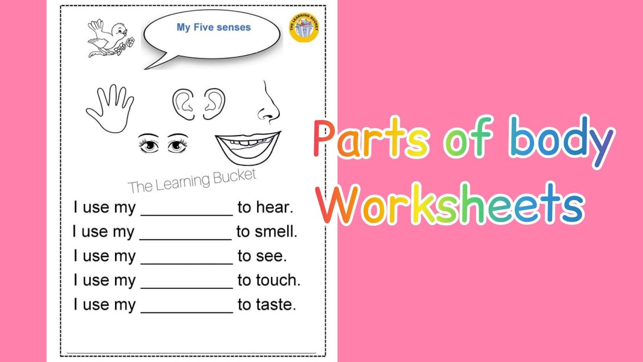 body-parts-worksheets-parts-of-the-body-worksheets-for-kids-youtube