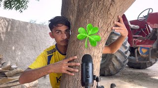 ASMR Tree Massage 🌳