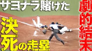 【激闘】牧原大成の返球 vs. 川越誠司の決死走塁【死闘】