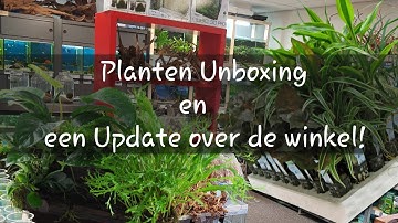 Aquariumplanten Unboxing en een Update over de Winkel! | ExoticAquatica.nl