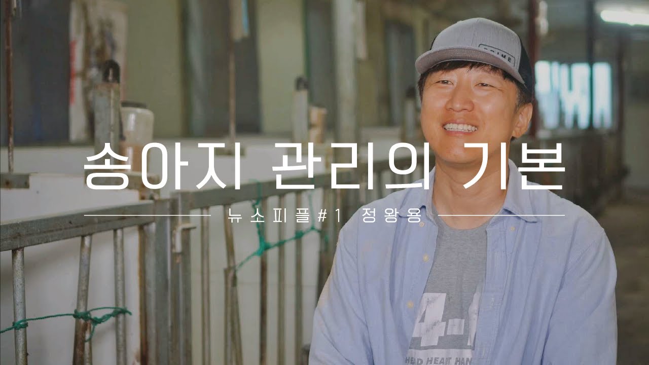 뉴소피플 #1 | 한우 송아지 관리의 기본 (서우농장 정왕용)