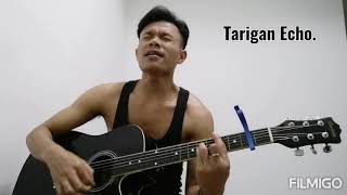 Lagu karo Mantan Rondong (Ferly Sitepu) cover Echo Tarigan🙏🙏