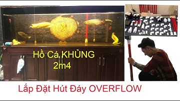Overflow / Thông Nguyễn / Lắp Đặt Overflow Hồ KHỦNG 2M4 Của Khách Đức Hoà / Zalo : 0967806885