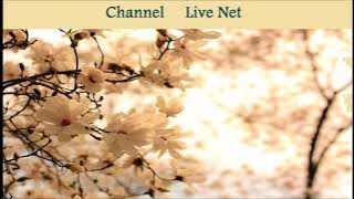 اريام صوتك يكفيني