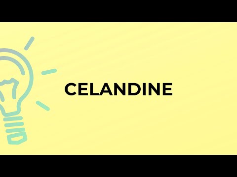 CELANDINE शब्द का अर्थ क्या है?