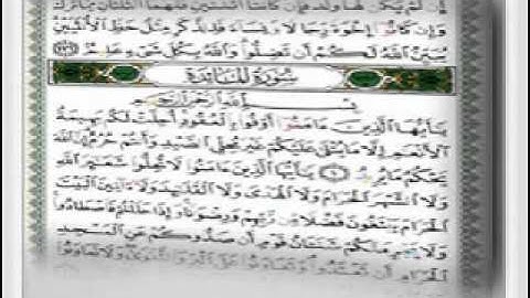 ما تيسر من سورة المائدة  أبو العينين شعيشع