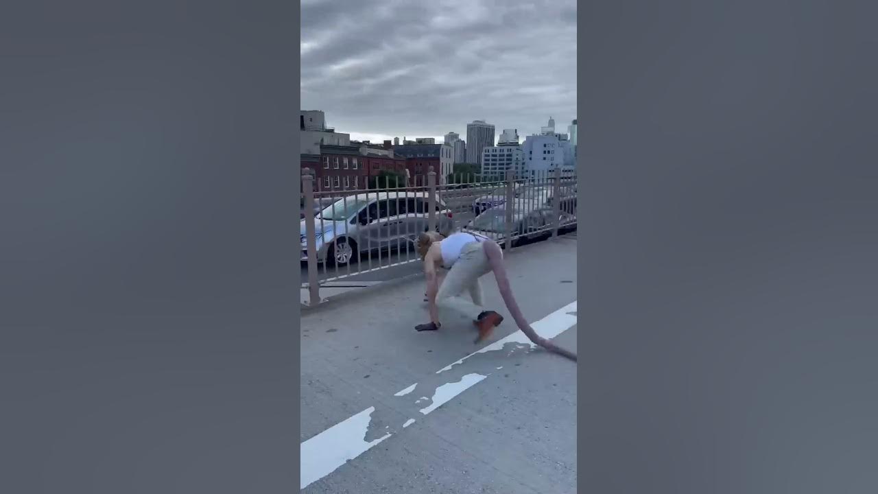 Rat on a Bridge