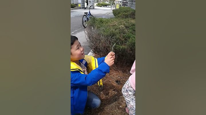 고백받았다