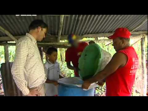 Drogen-Mafia entwickelt die „Koks-Kartoffel“ I Kolumbien