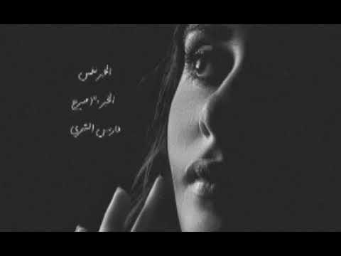 الخبر نفس الخبر مسرع