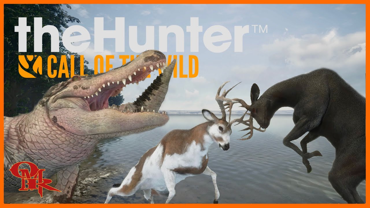 WHITETAIL 🎯 Competition .243 Diamond & Rare Hunting theHunter