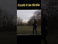 when Birdie calls #discgolf #discgolfdanmark #sport #sports #outdoors