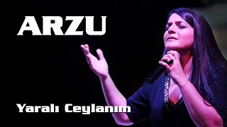 Arzu - Yaralı Ceylanım (Canlı - Türkü) [© 2020 Soundhorus]