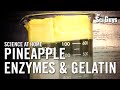 Exploring Enzymes Quiz