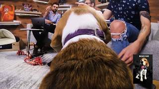 Bailey Cam: OPL 2019 Split 2