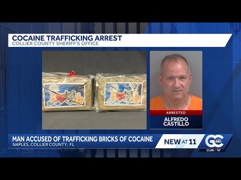 Collier County traffic stop leads to arrest of driver on drug trafficking charges