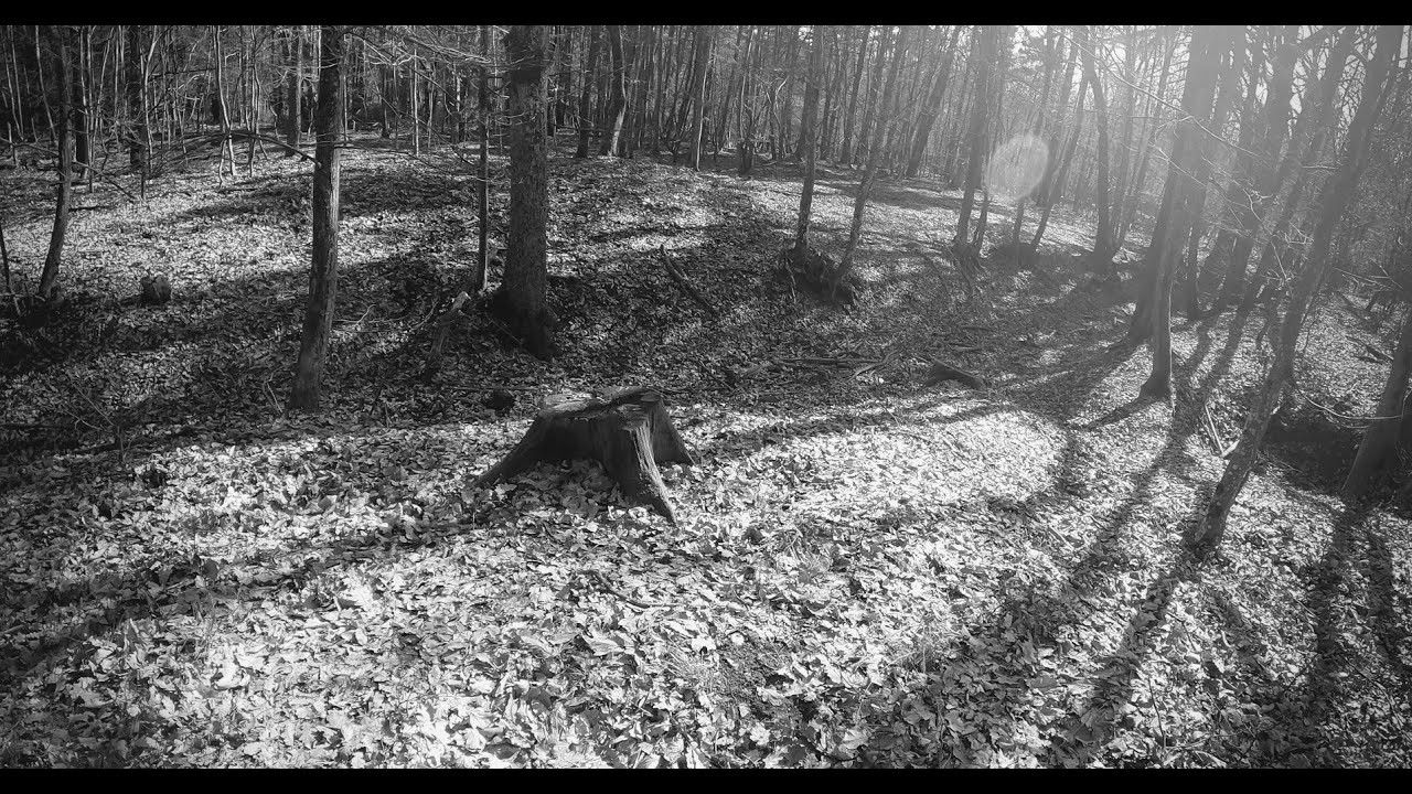 Sondeln mit Flugzeugteil und K.u.K Löffel!