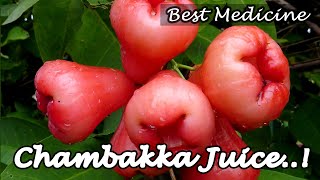 Chambakka Juice Recipe | Rose Apple Juice | chambakka juice recipe | Best Medicine