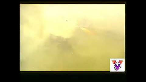 Magic system - poisson d