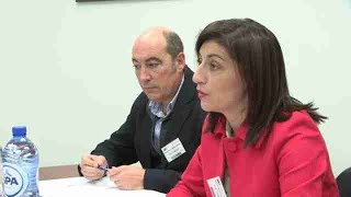 Galicia, libre de brucelosis bovina