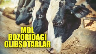 Mol bozoridagi olibsotarlar | Shayx Sodiq Samarqandiy