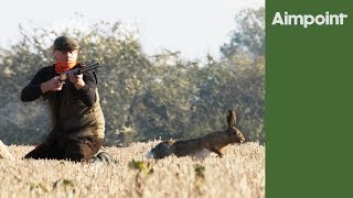 Hare shoot - massive pest control day