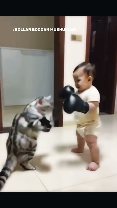 Ikkita bitta dildo Porno Mariya Beresneva