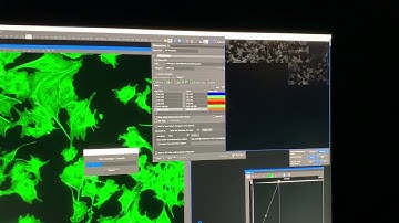 Nikon Ti2-E scan large image