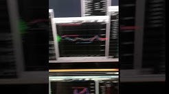株株パラダイス Youtube
