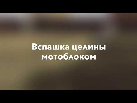 Вспашка целины мотоблоком