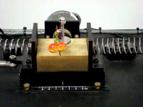 Variable and Adaptive Gain Super-Twisting Sliding Mode Control